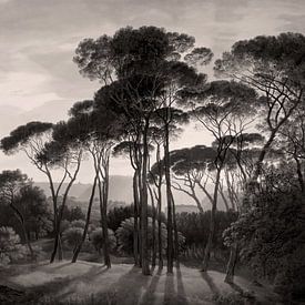 Paysage italien avec pins parasols, Hendrik Voogd | Noir et blanc chaud sur Kjubik