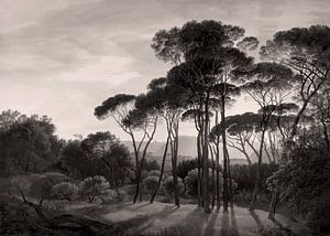Italienische Landschaft mit Schirmkiefern, Hendrik Voogd | Warmes Schwarz und Weiß von Kjubik