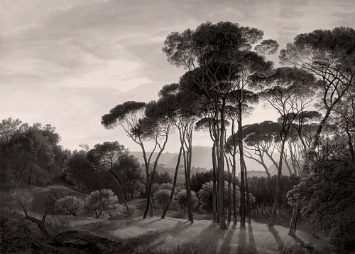 Paysage italien avec pins parasols, Hendrik Voogd | Noir et blanc chaud sur Kjubik