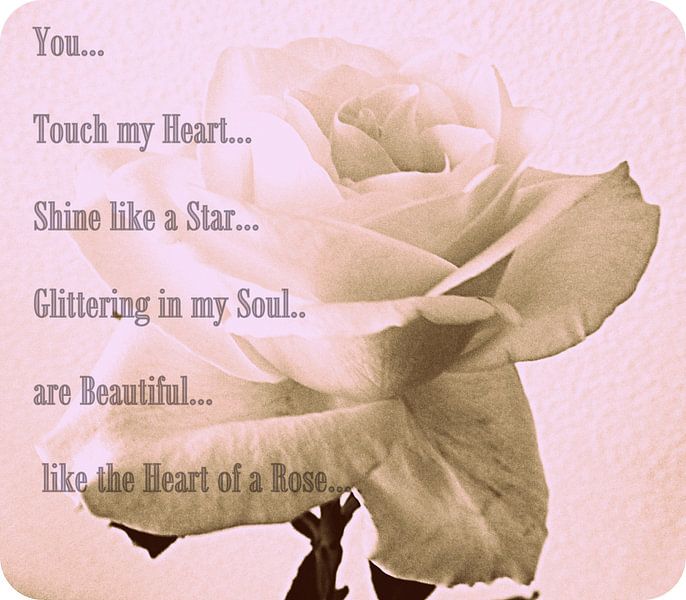 Soft Pink Rose & Poem van Nicky`s Prints