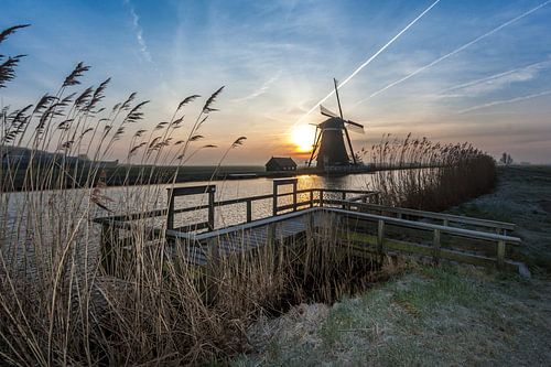 Visstek bij de molen