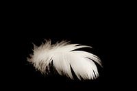 product photography white-black