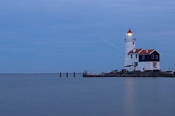 Horse of Marken in the evening by Roy De vries