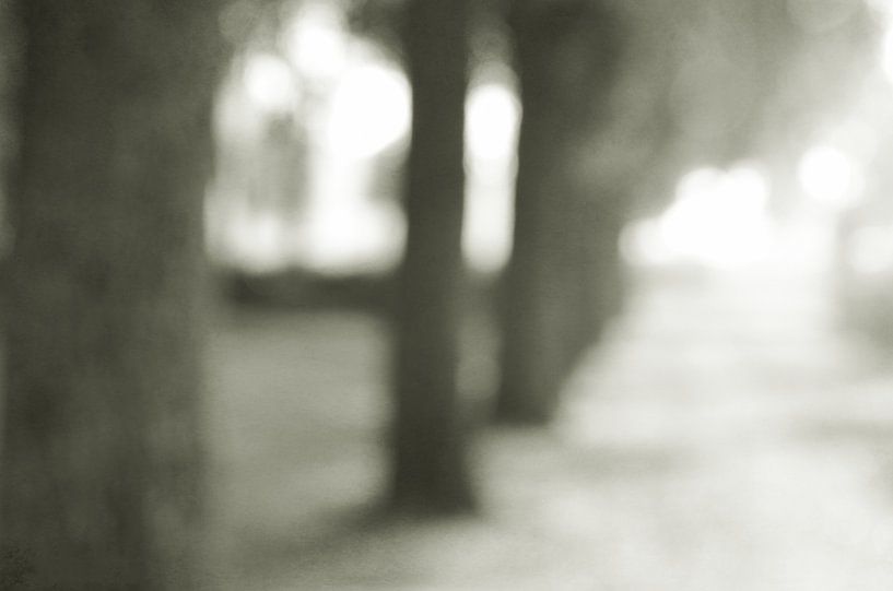 Illusion von Ivette Braem