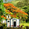 Chapelle avec végétation verte sur Ihabela au Brésil sur Dieter Walther
