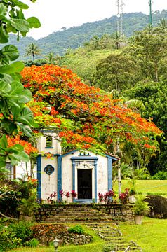 Kapel met groene vegetatie op Ihabela in Brazilië van Dieter Walther