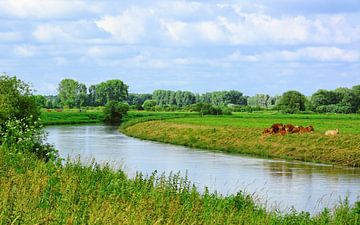 Rural Scenery by Gisela Scheffbuch