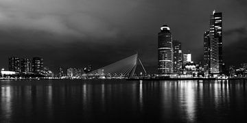 Rotterdam bei Nacht, Panorama schwarz / weiß