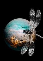 DRAGONFLY V-2