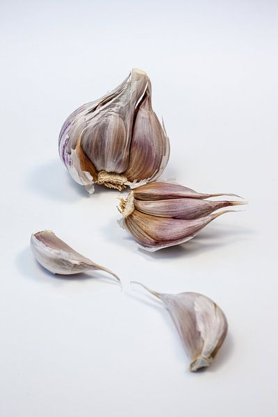 Knoflook von Nina van der Kleij
