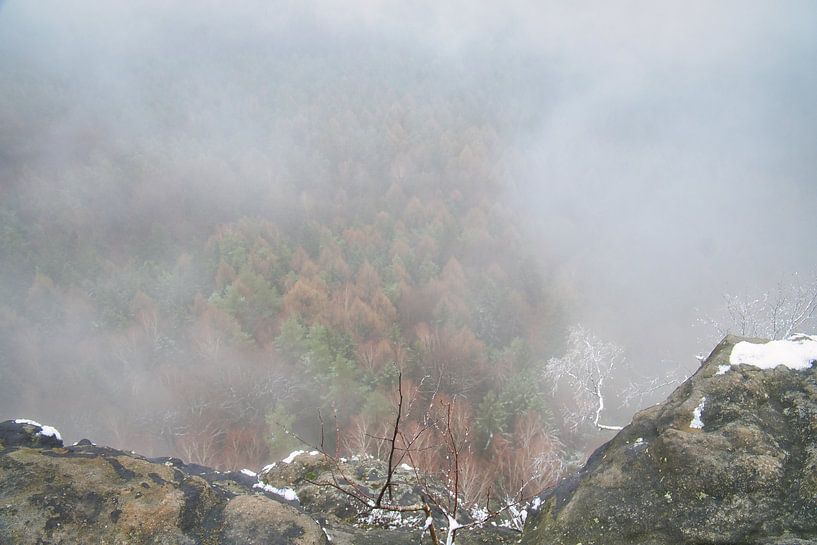 Bos in de mist in het Elbezandsteengebergte van Martin Köbsch
