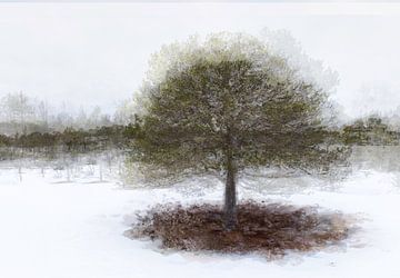 Winter tree by Esther Bakker-van Aalderen