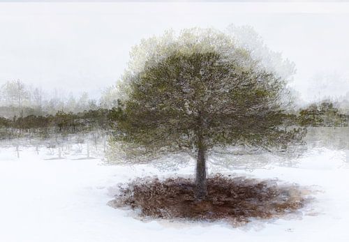 Winterbaum von Esther Bakker-van Aalderen