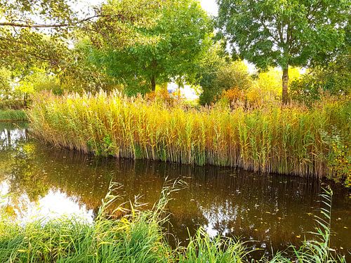 Natuur