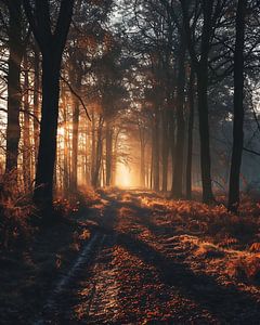 Herbstlandschaft