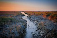 Het Wad