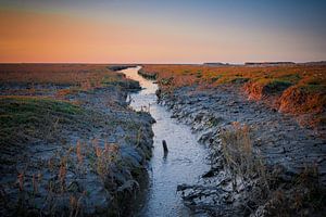 Das Wattenmeer