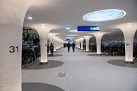 Amsterdam bicycle parking by Richard Wareham thumbnail