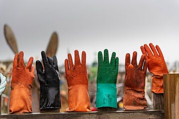 Gloves on a fence in Texel by Erik van 't Hof