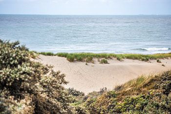 Duinen en  Zee