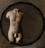 Mannelijke Torso