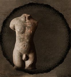 Mannelijke Torso van Herbers Lifestyle Wall Decorations
