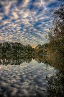 Dutch Skies
