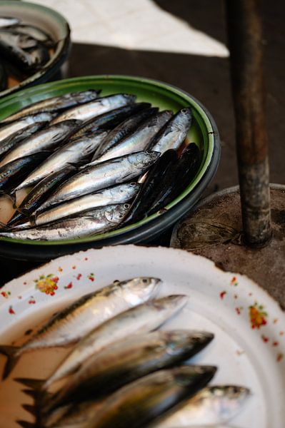Pure fish from the local market in Bali by Kíen Merk