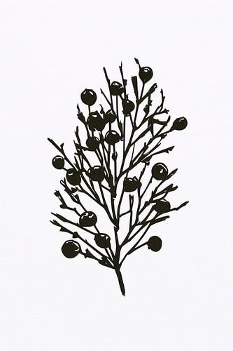 Abstracte zwart-witte natuur silhouetten