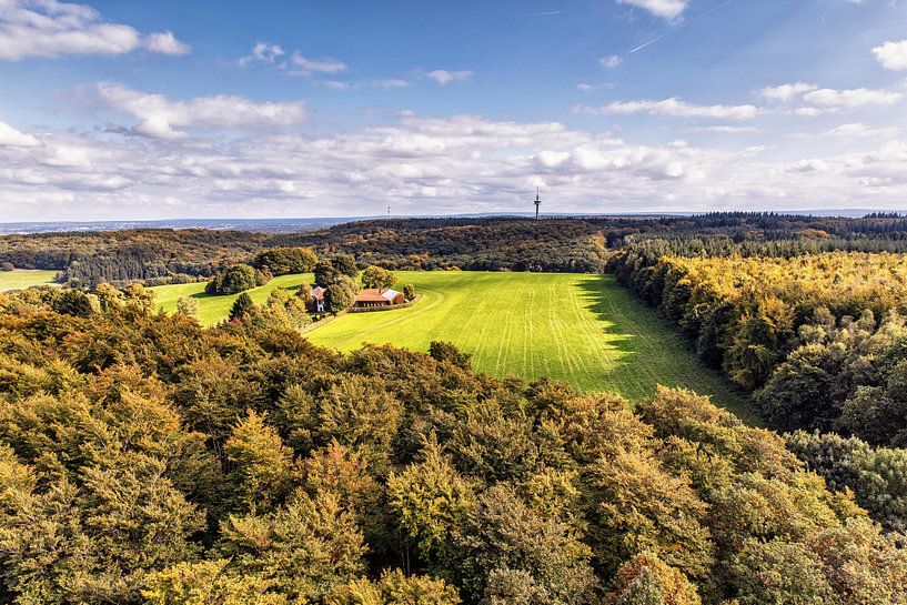 Aachener Wald by Rob Boon