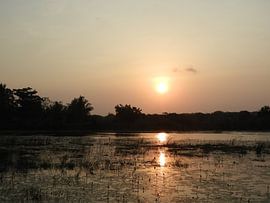 Zonsondergang Sri Lanka