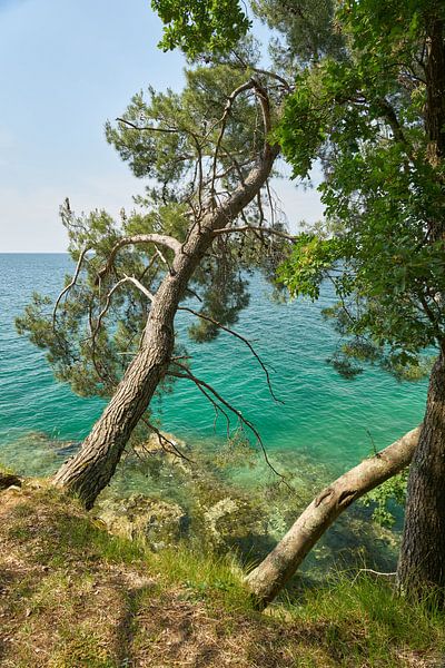 Adriatic coast near Porec by Heiko Kueverling