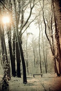 an einem schönen Wintertag