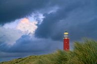 Texelse vuurtoren in de duinen tijdens een stormachtige herfstavond van Sjoerd van der Wal Fotografie thumbnail