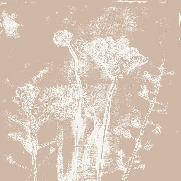 Abstracte botanische kunst. Bloemen in neutrale pastelkleuren. Witte bloemen op warm beige van Dina Dankers