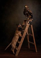 Unusual friends