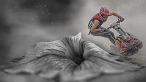 Flowerjetskiing