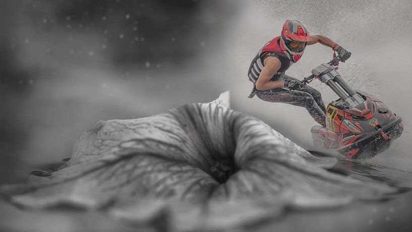 Flowerjetskiing van Patrick Mertens aka Pat Probleme