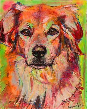 Bernese senes labrador dog by Liesbeth Serlie