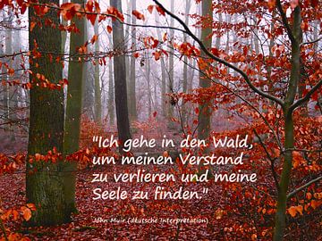 In het bos van mimone art