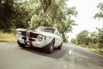 Alfa Romeo Giulia Sprint GTA Speeed