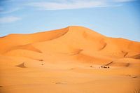 Woestijn bij Erg Chebbi, Marokko tijdens zonsondergang, gouden duinen met kamelen karavaan.