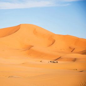 Woestijn bij Erg Chebbi, Marokko tijdens zonsondergang, gouden duinen met kamelen karavaan. van Marjolein Hameleers