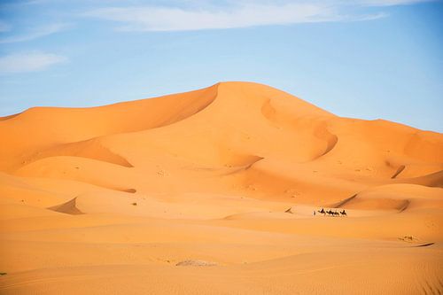 Desert at Erg Chebbi, Morocco at sunset, golden dunes with camel caravan.