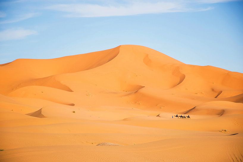 Woestijn bij Erg Chebbi, Marokko tijdens zonsondergang, gouden duinen met kamelen karavaan. van Marjolein Hameleers