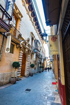 Smalle straat in de oude stad van Palma de Mallorca van Alex Winter