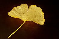 Goldenes Ginkgoblatt von Angelika Beuck Miniaturansicht