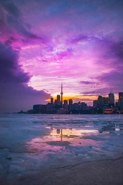 Toronto by Hello Pompoyo