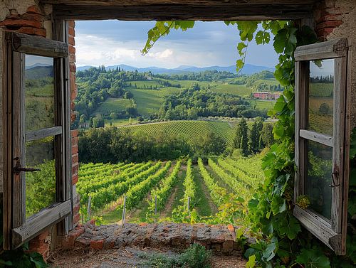 uitzicht door  het raam