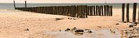 Zoutelande beach pileheads Zeeland coast